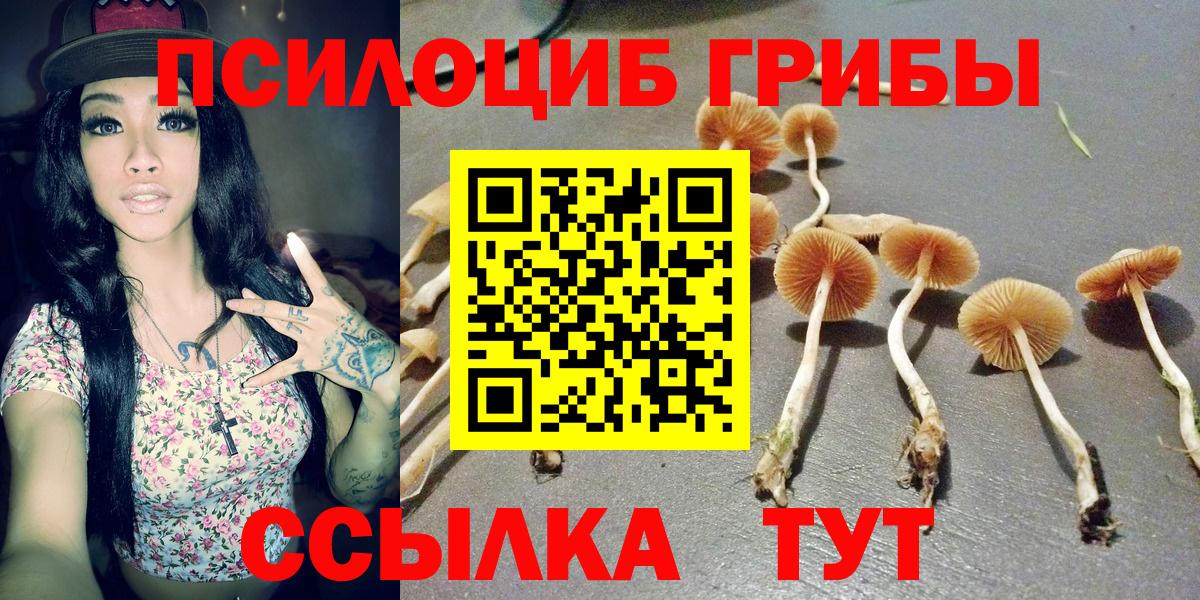 Ковров  Псилоцибиновые грибы Magic Shrooms  Вход с VPN  Галлюциногенные грибы мухоморы 