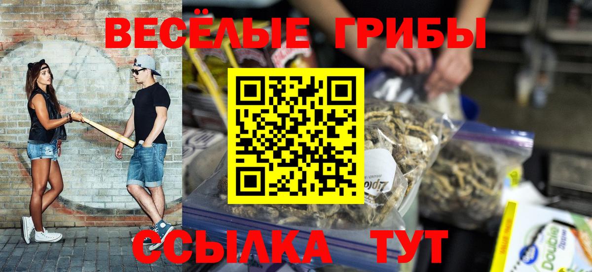 Псилоцибиновые грибы Cubensis Ковров